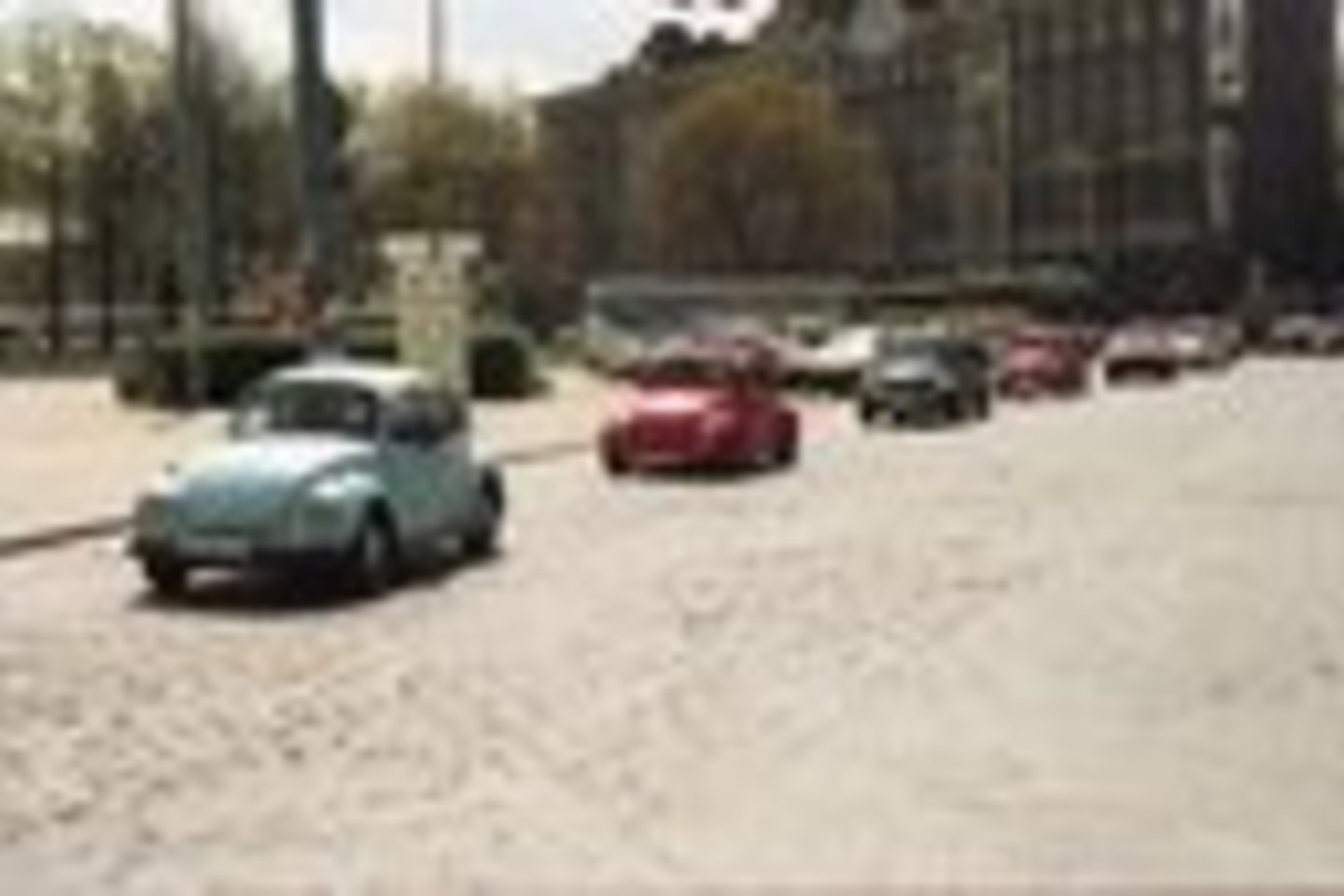 Pirmasis "vabalų" suvažiavimas Lietuvoje įvyko prieš 15 metų.