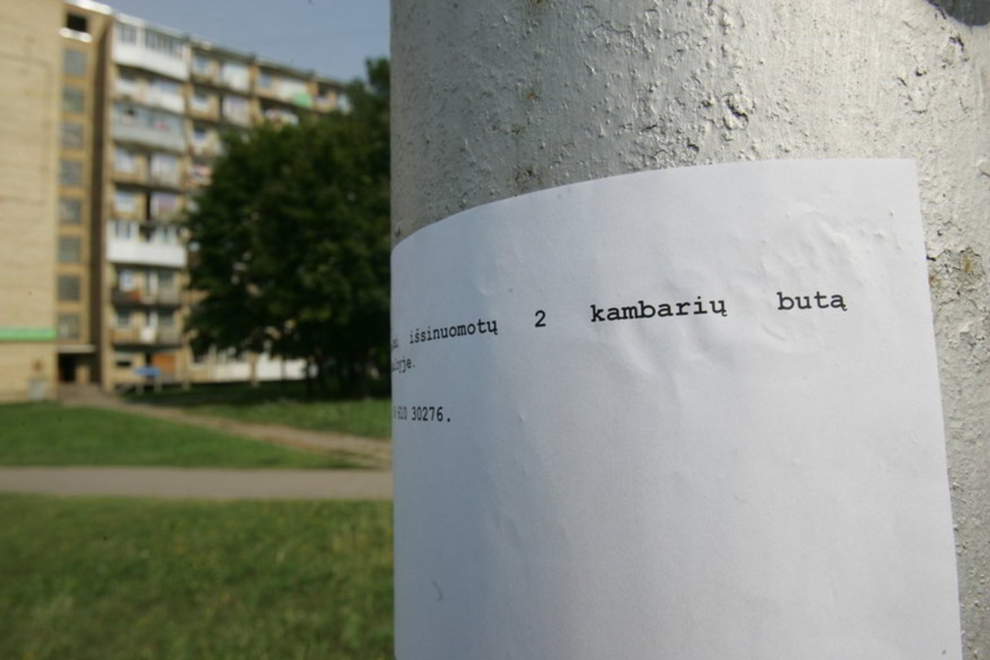 Nekilnojamojo turto rinką užplūdo apsišaukėliai - kai pardavimai sustingę, butų nuoma jiems itin patinka: pinigai mažesni, bet paprasčiau gaunami.