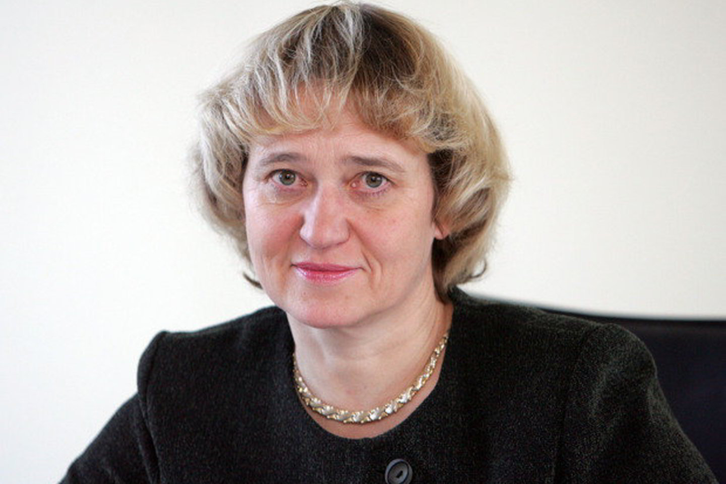 „Diskusijos vyksta dėl užstatymo procento, ir galutinis taškas bus padėtas tvirtinant šį dokumentą“, - sakė R. Baškytė.