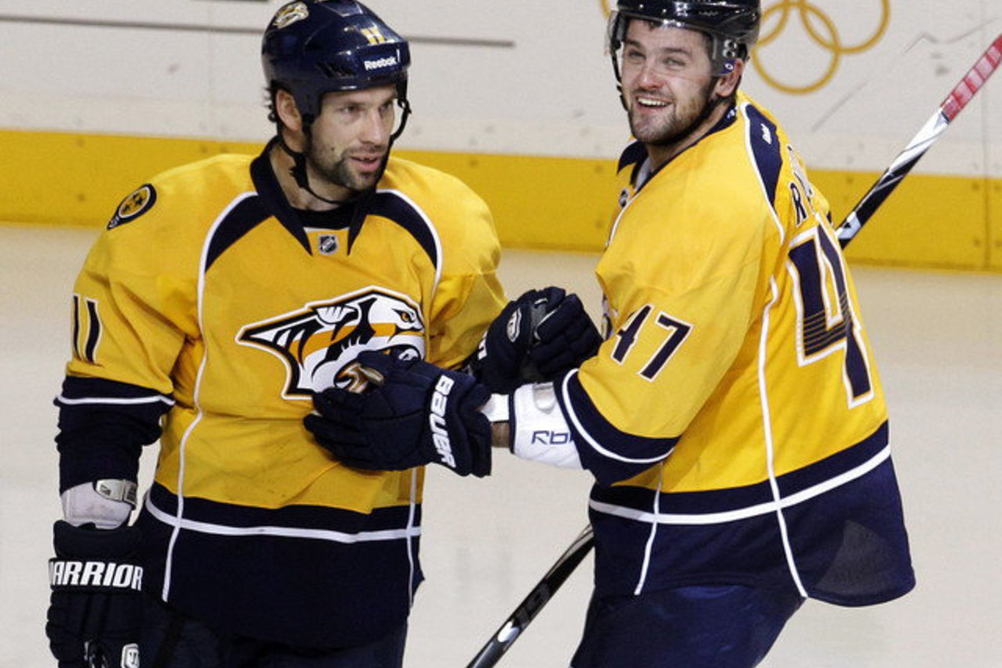 "Predators" - "Red Wings" rungtynių akimirka.