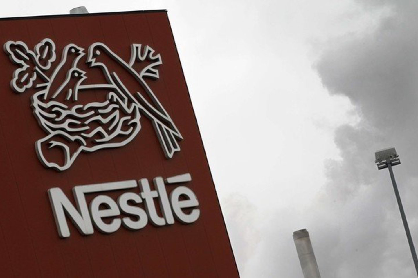 „Nestle“ yra pasaulinė lyderė pieno mišinių vaikams gamyboje, kompanija sudaro 17 proc. šios pasaulinės rinkos.