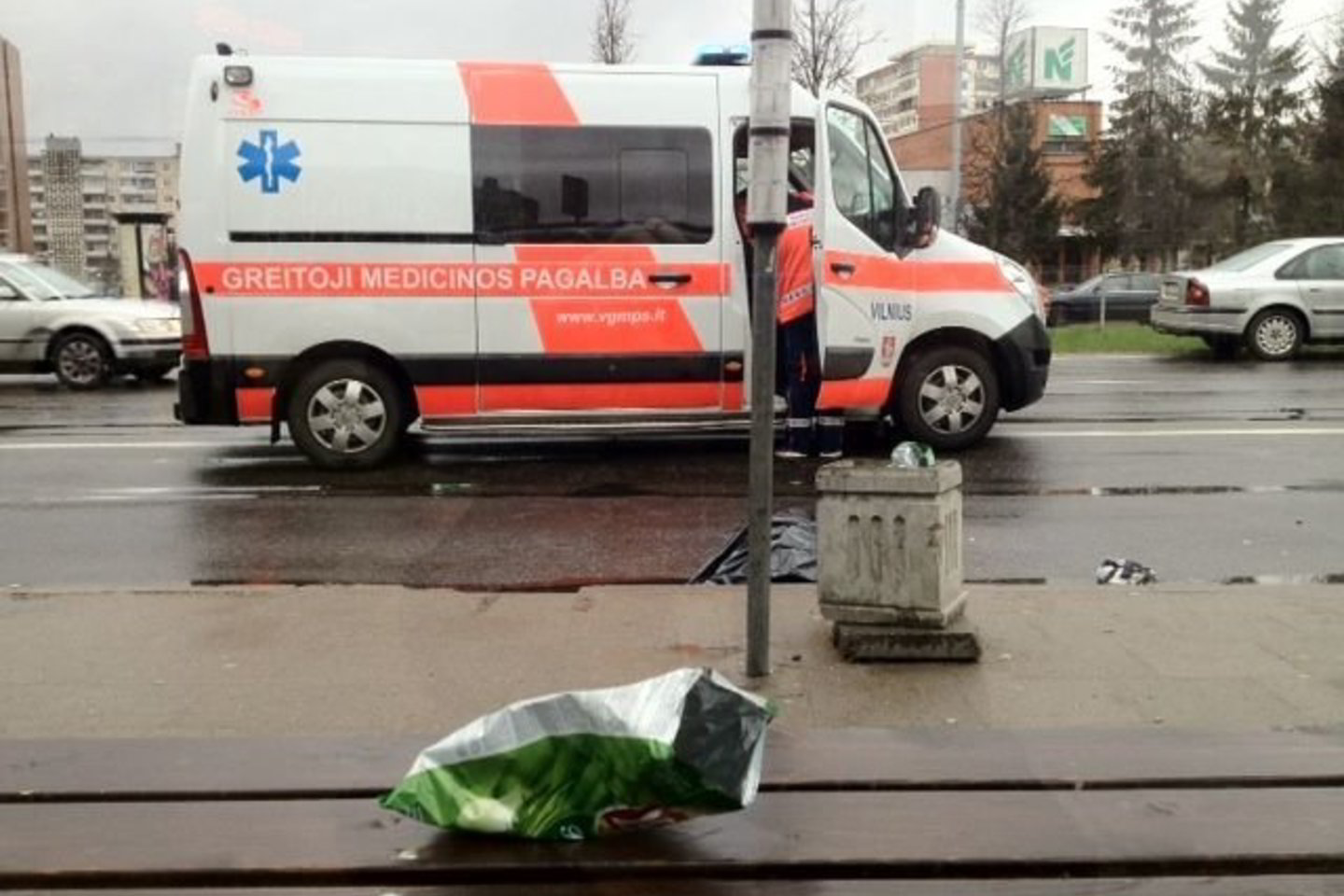 Atvykę medikai berniukui niekuo negalėjo padėti.
