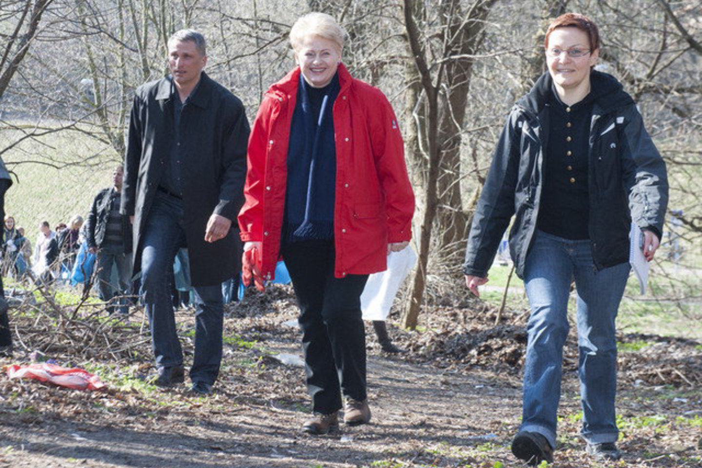 Balandžio 11 d. D. Grybauskaitė grąžino pakartotiniam Seimo svarstymui Buhalterinės apskaitos įstatymo pataisas.