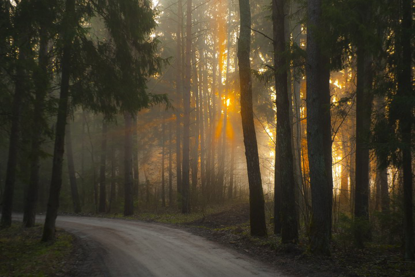 Antradienį 8 val. ryto žymesnių kritulių nebuvo.