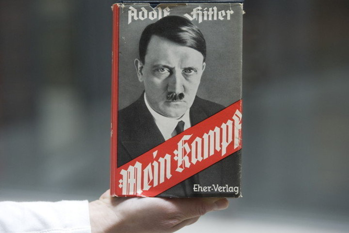 Ši Vokietijos žemė taip pat planuoja išleisti mokykloms skirtą „Mein Kampf“ versiją su komentarais, skatinančiais kritinį požiūrį.