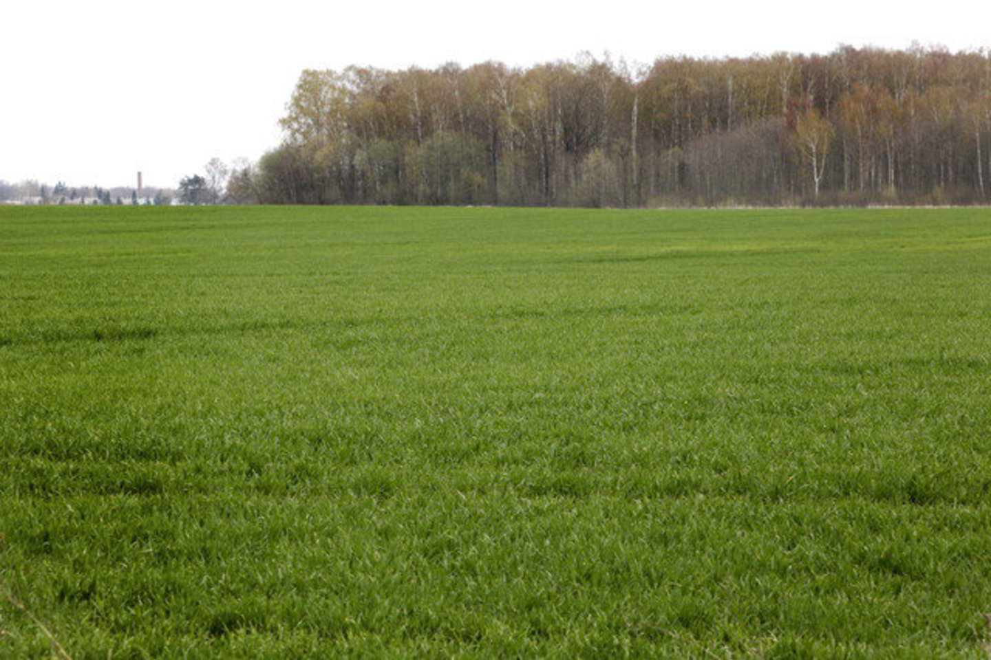 Nuo kitų metų šalies rezervatuose ir 5 kilometrų atstumu aplink rezervatus draudžiama auginti ir dauginti genetiškai modifikuotus organizmus.