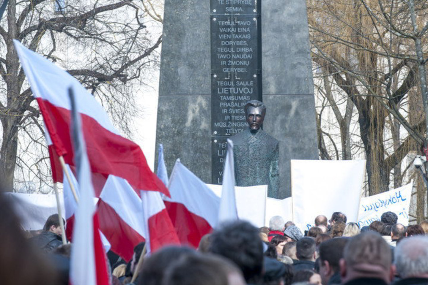 Lietuvos lenkų tautinė mažuma turi galimybę mokytis gimtąja kalba nuo pat vaikų darželio iki universiteto, ir tai yra išskirtinis atvejis visoje Europos Sąjungos švietimo sistemoje.