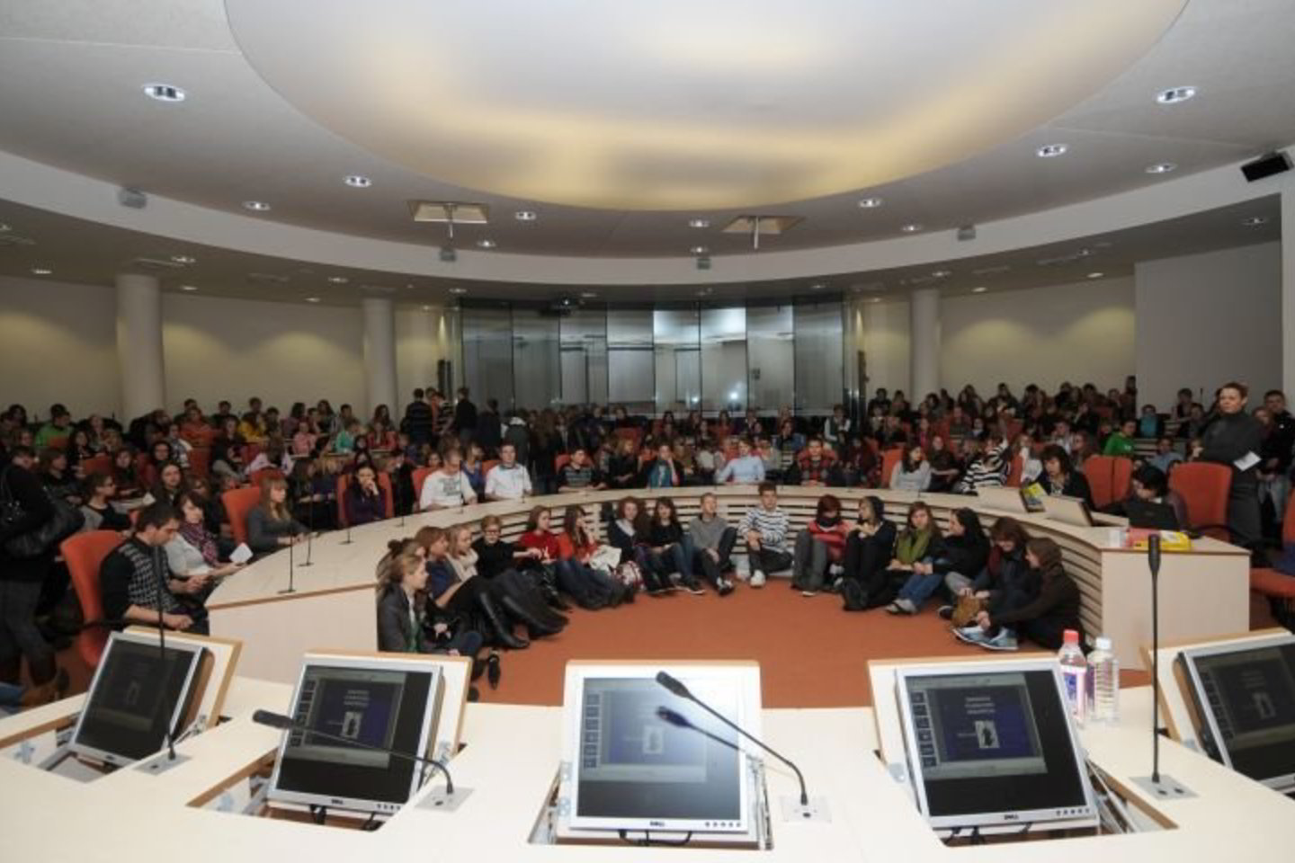 Universitete ruošiami ekonomikos ir finansų valdymo, politikos ir vadybos, socialinės informatikos, socialinės politikos, edukologijos, teisės, viešojo saugumo, humanitarinių mokslų specialistai.