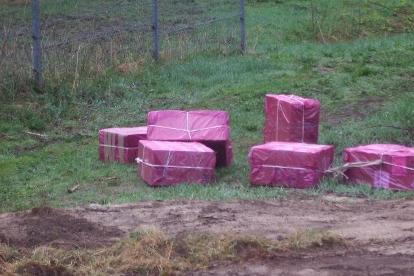 Dalis cigarečių buvo paslėpta šiaudų kupetoje, dalis valiojosi visai šalia Baltarusijos sienos.