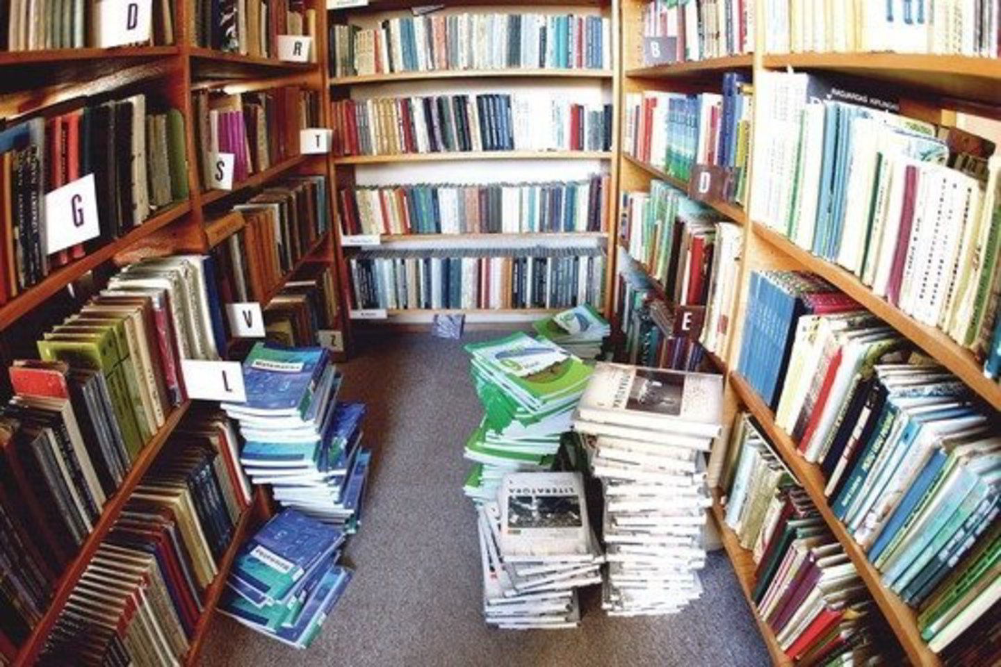 Bibliotekas pasiekia leidiniai, dienos šviesą išvydę praėjusį dešimtmetį ir pragulėję platintojų sandėliuose.