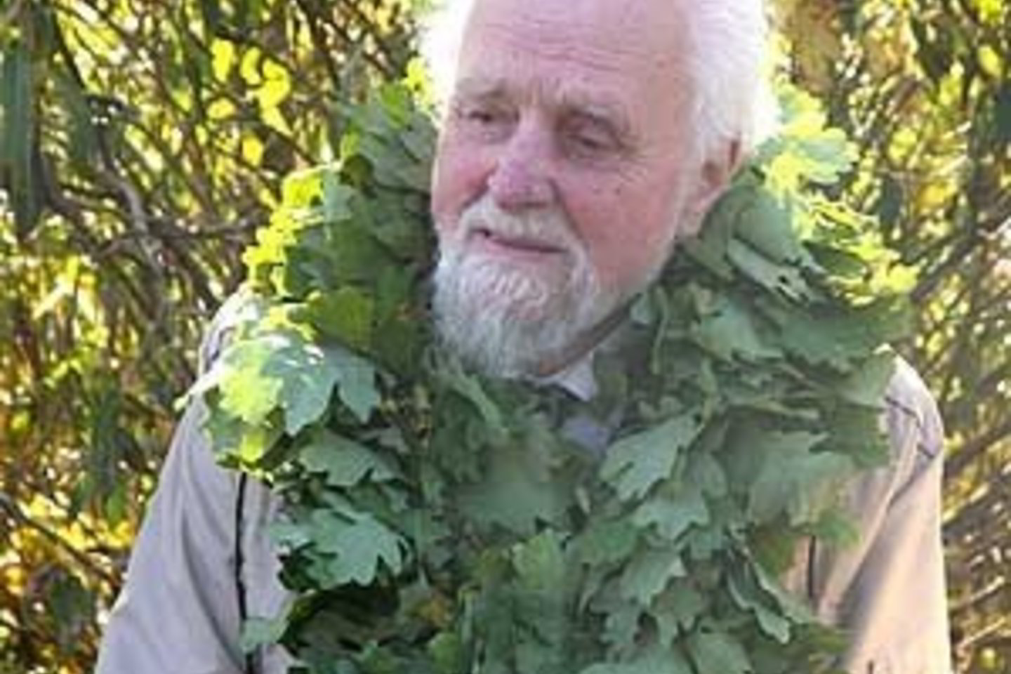 J. Mikelinskas.