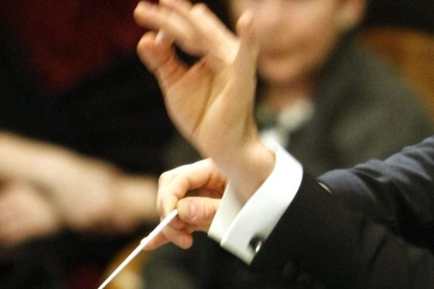Po baigiamojo koncerto Kauno valstybinėje filharmonijoje, konkurso komisijos pirmininkas sakė žurnalistams tarp pretendentų matęs bent keletą kol kas reikiamos patirties neturinčių muzikų, kurie ateityje gali tapti labai puikiais dirigentais.
