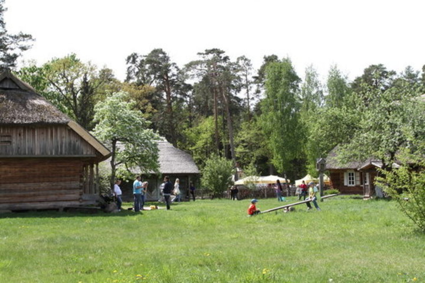 Šių metų muziejininko vardas suteiktas Lietuvos liaudies buities muziejaus etnologei Janinai Samulionytei.