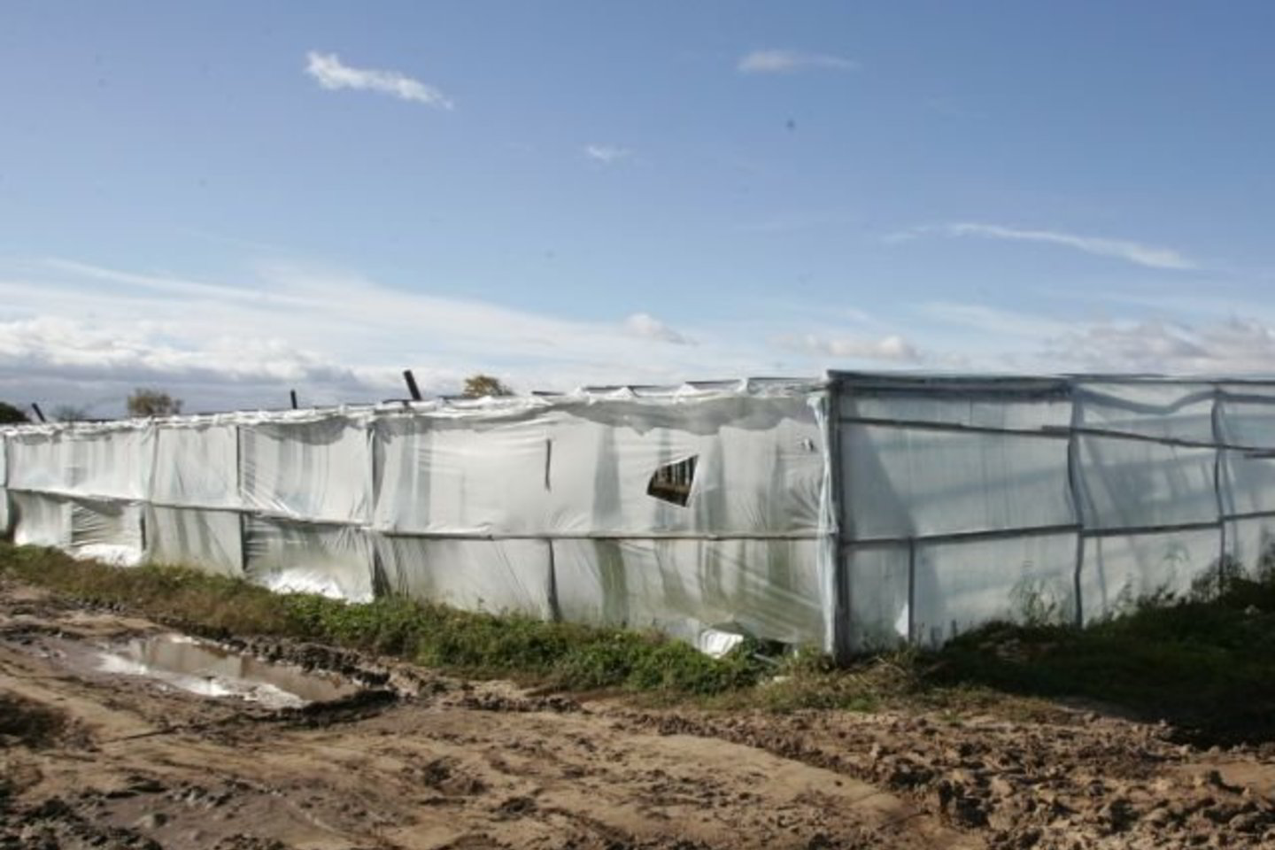Per penkerius metus klaipėdietis D. L. gavo daugiau nei 16,7 milijono litų pajamų ir užsidirbo daugiau nei 3 milijonų litų pelno.