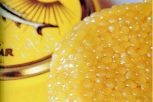 Dešimt brangiausių maisto produktų pasaulyje