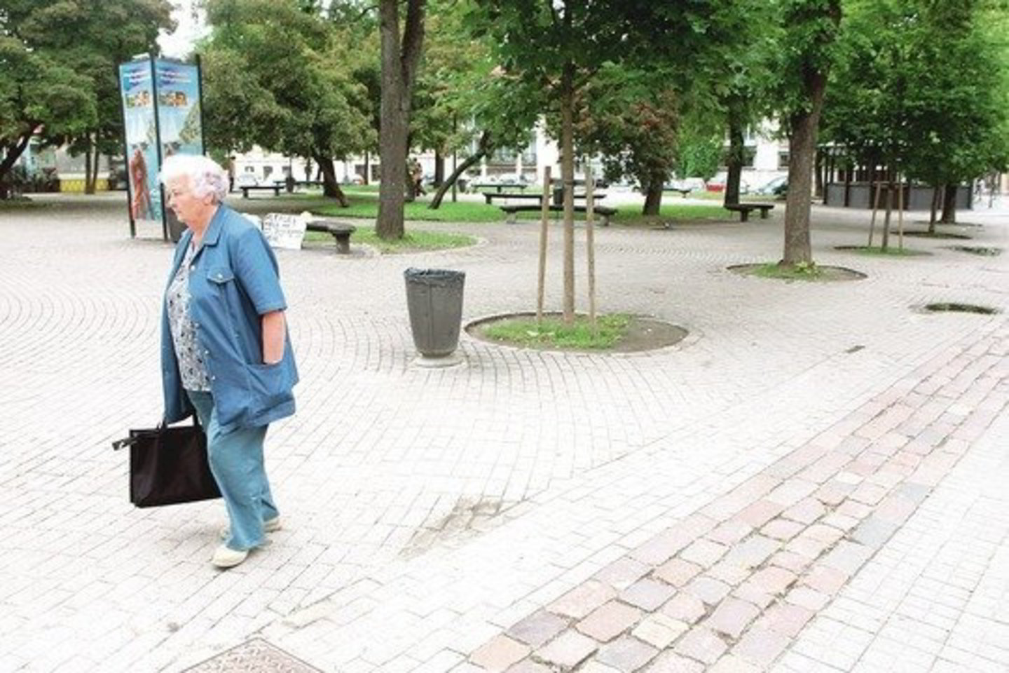 Senamiesčio gyventojams, norintiems želdynais puoselėti miestą, siūloma skirti 900 litų K.Sirvydo skvero augalams.