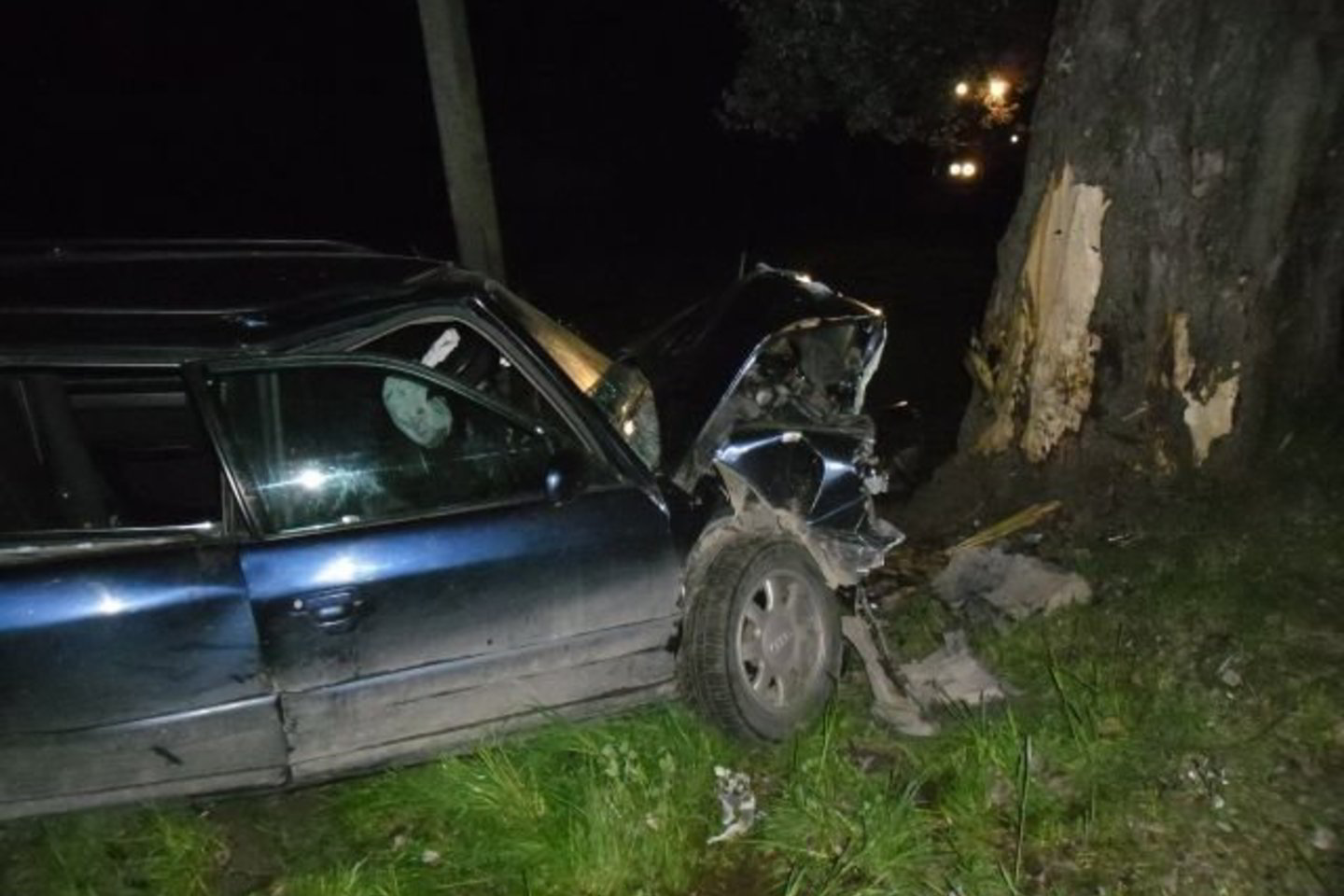 Automobilis į medį rėžėsi kaktomuša.