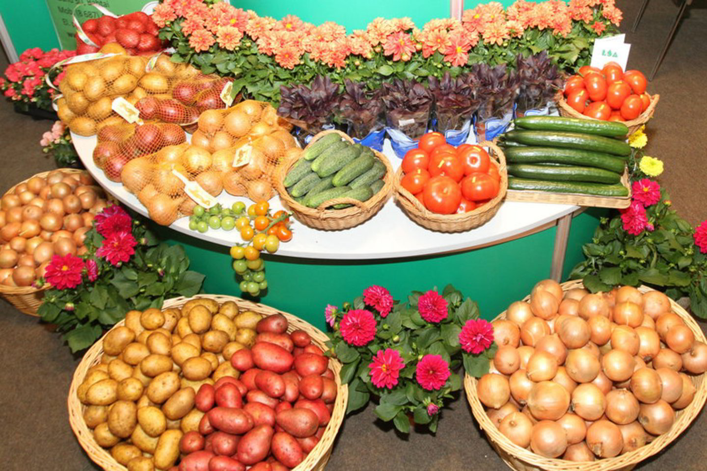 Lietuvoje vėl siūloma įteisinti PVM lengvatą maisto produktams.