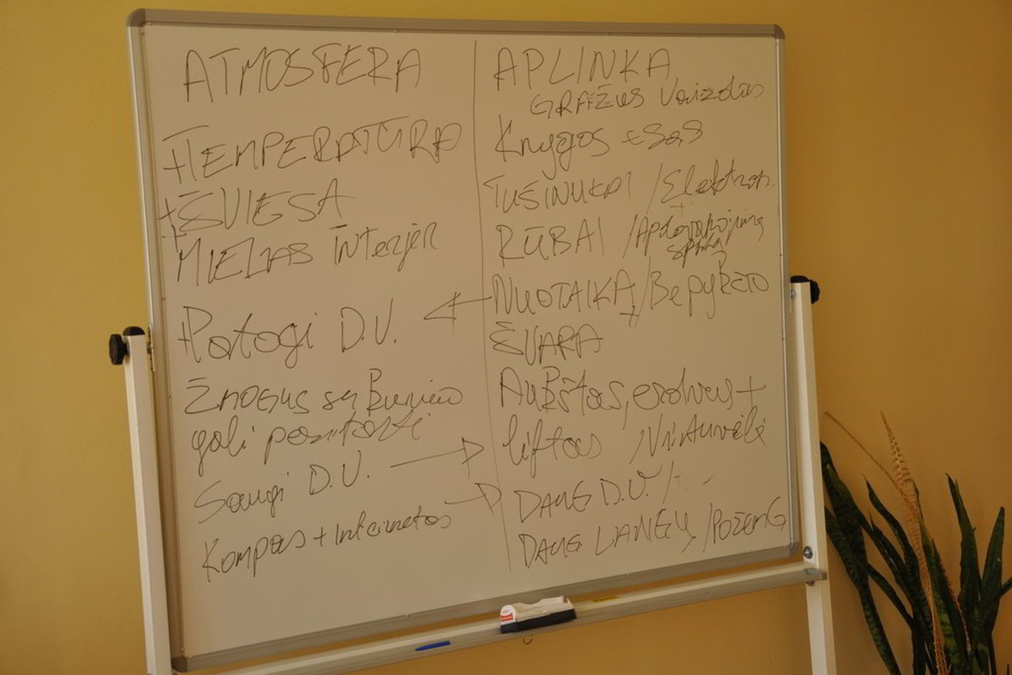 Kūrybinės dirbtuvės prasidėjo nuo FK „Ekrano“ atstovo spaudai L. Jociaus pasakojimo apie tai, kas yra futbolo klubas.