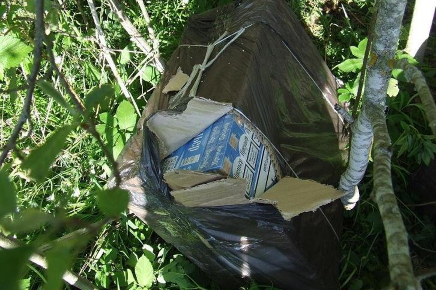 Kontrabandininkai iš Baltarusijos jas į Lietuvą įmetė nepažeisdami sienos, o jų bendrininkai nespėjo rūkalų pasiimti.