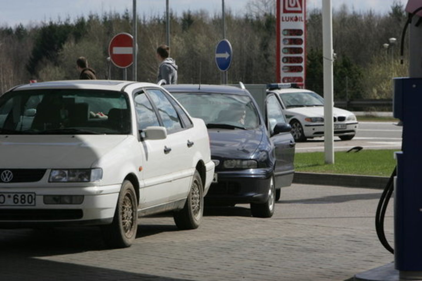 54 proc. automobilių savininkų naudoja dyzeliną, 37 proc. - 95 markės benziną, 11 proc. – dujas, 4 proc. - 98 markės benziną.