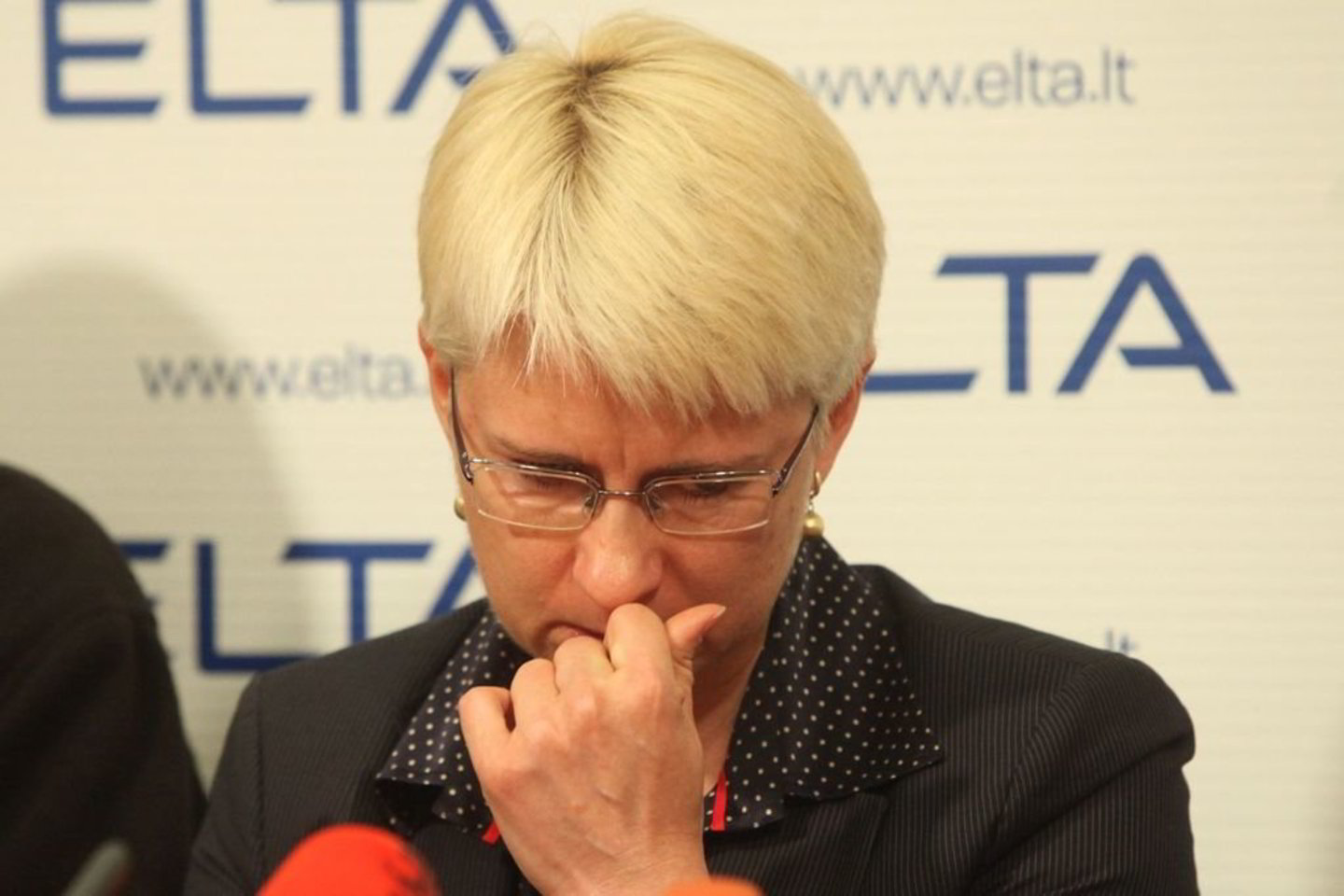 N. Venckienė tikino, kad pareigūnai naudojo smurtą.