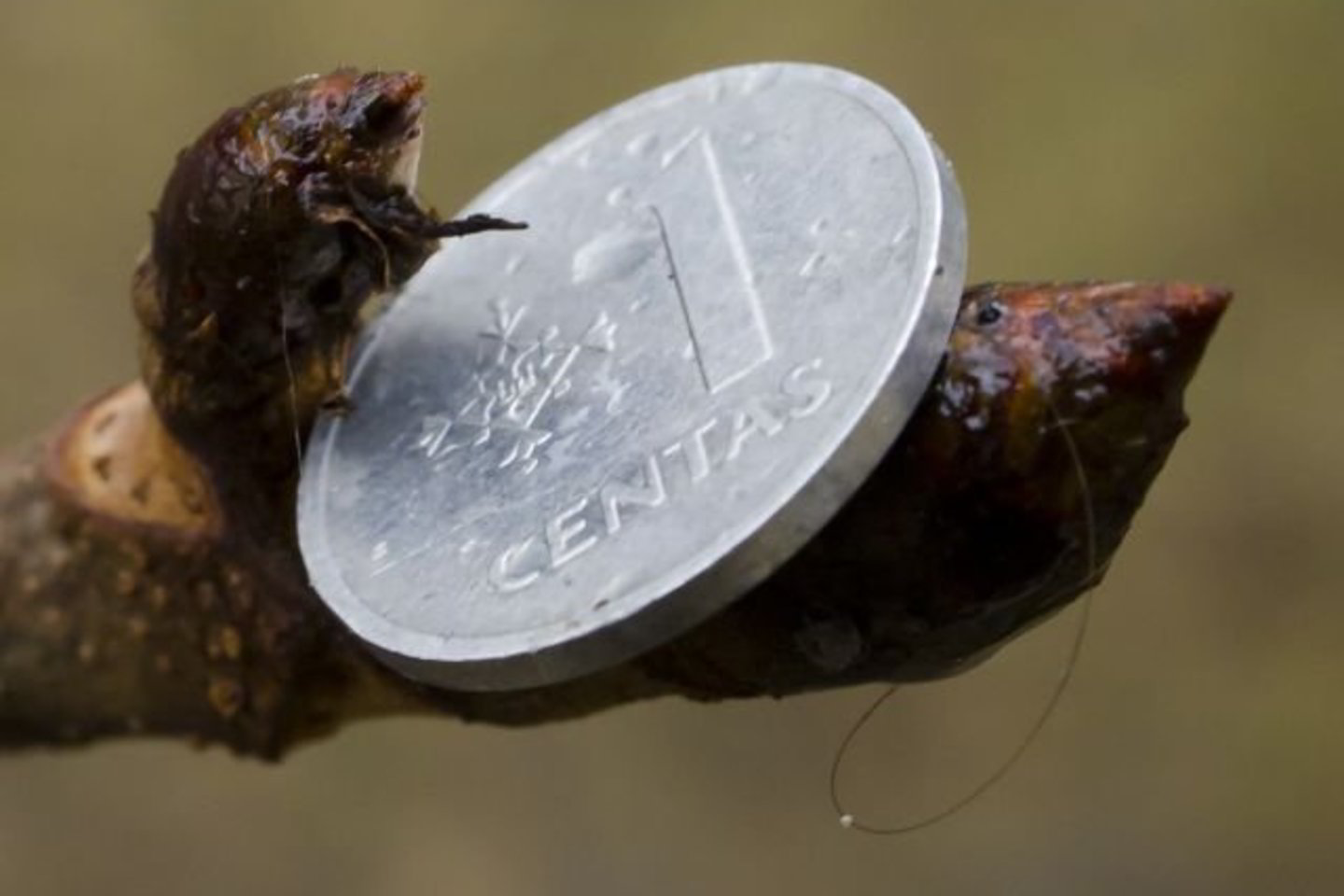 Ūkio ministerijai žeriami priekaištai dėl užsitęsusio paraiškų vertinimo - vėluoja beveik 100 jos kuruojamų projektų, kurių vertė siekia 855 mln. litų.