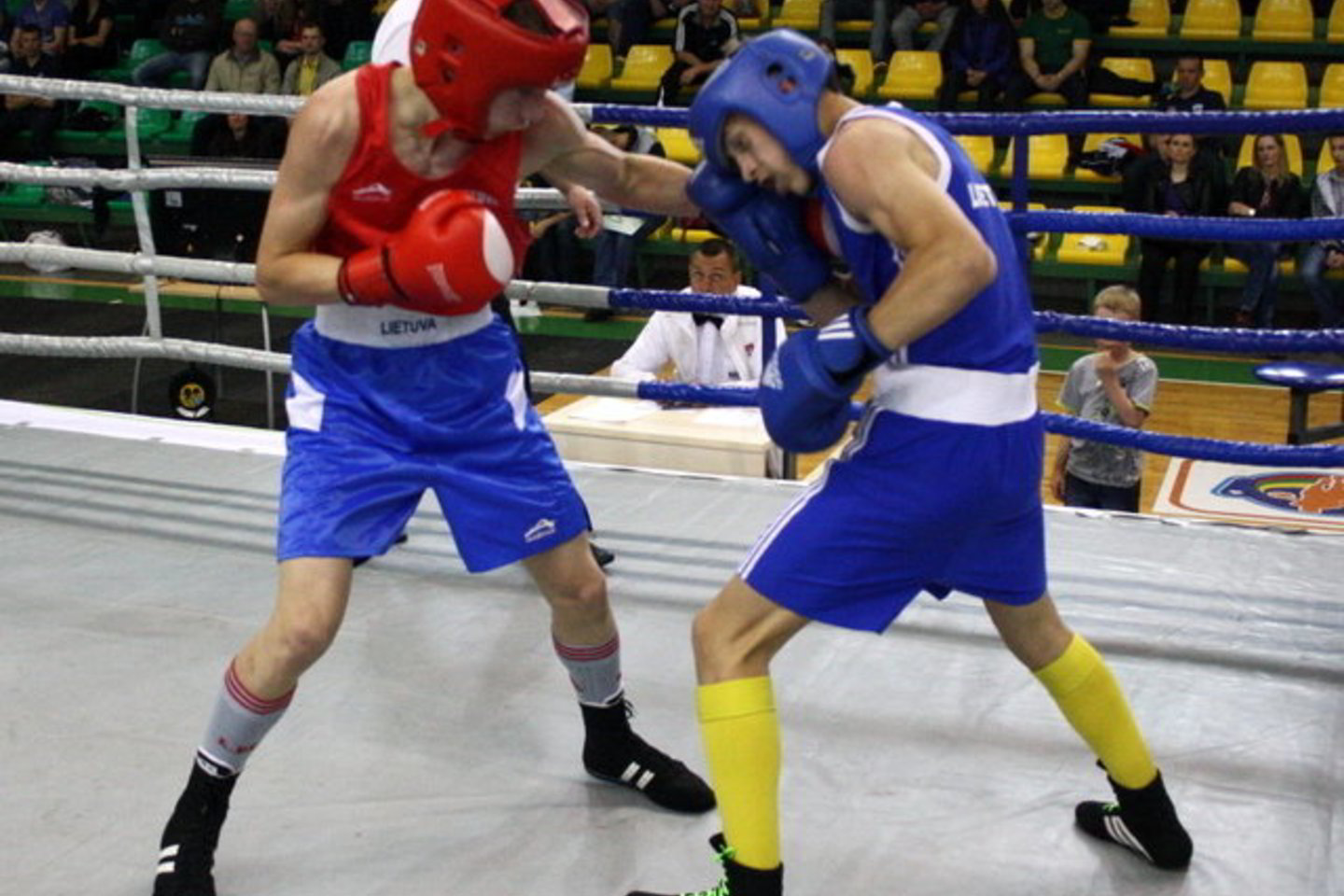 Turnyre dalyvavo 85 keturių amžiaus grupių sportininkai iš Lenkijos, Rusijos, Estijos, Latvijos, Airijos, Armėnijos, Anglijos, Švedijos ir Lietuvos.