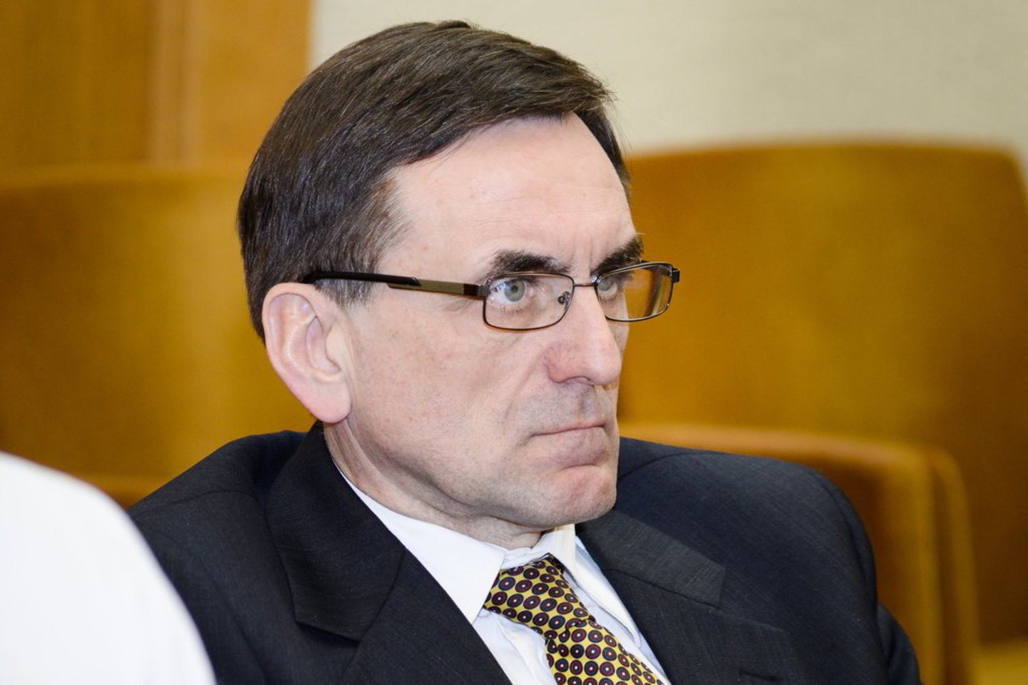 Anot L. Bielinio, viso politinės partijos bandys išnaudoti Garliavos situaciją.