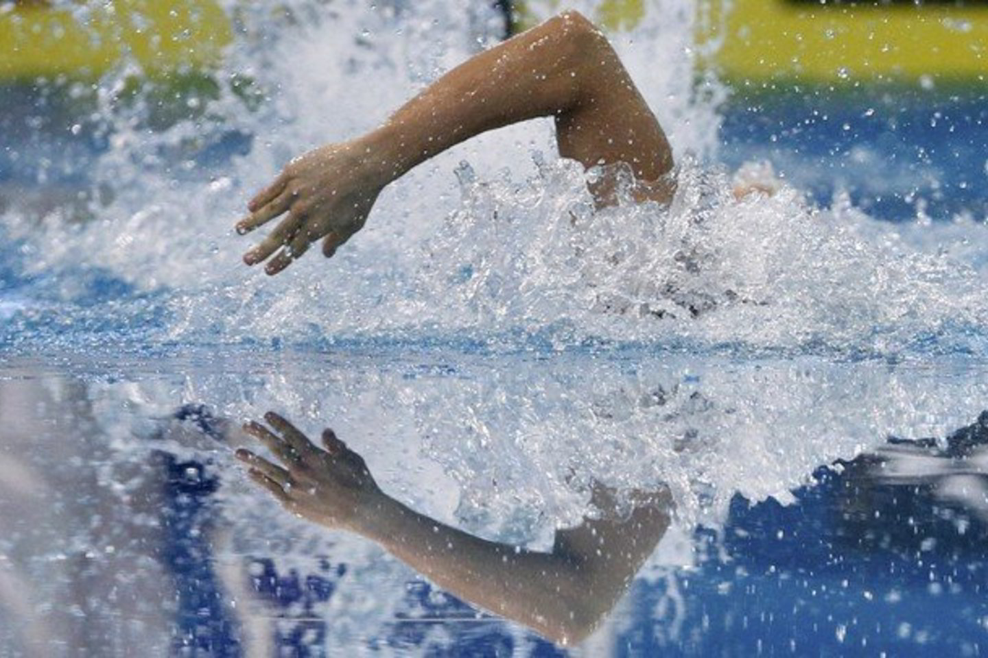 Vengrijoje vyksta Europos plaukimo čempionatas.