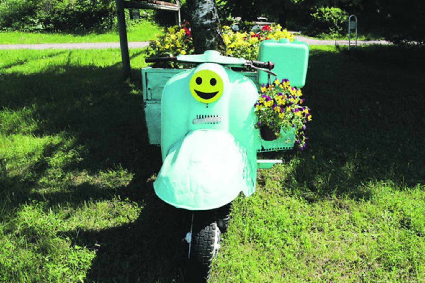 Sename motocikle kauniečiai pasodino gėlių ir taip originaliai pagyvino Tunelio gatvės šlaitą.
