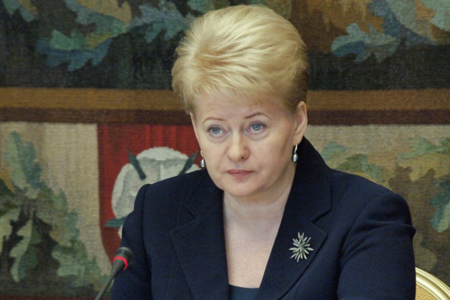 A. Kasparavičiaus teigimu, Daliai Grybauskaitei tapus prezidente „Lietuvoje iš esmės tėra užsienio politikos prezentacija“.