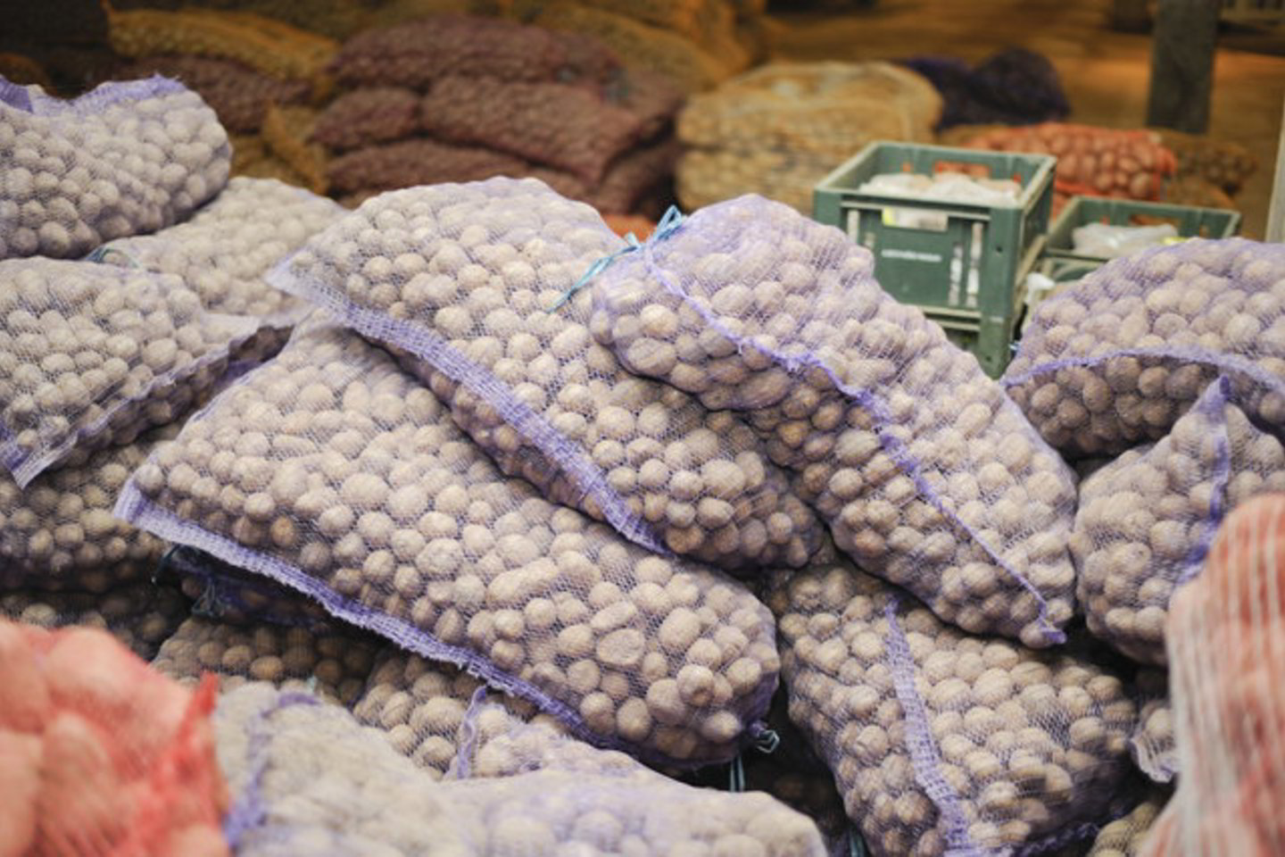 Iš augalininkystės produktų labiausiai atpigo bulvės (68,5 proc.).