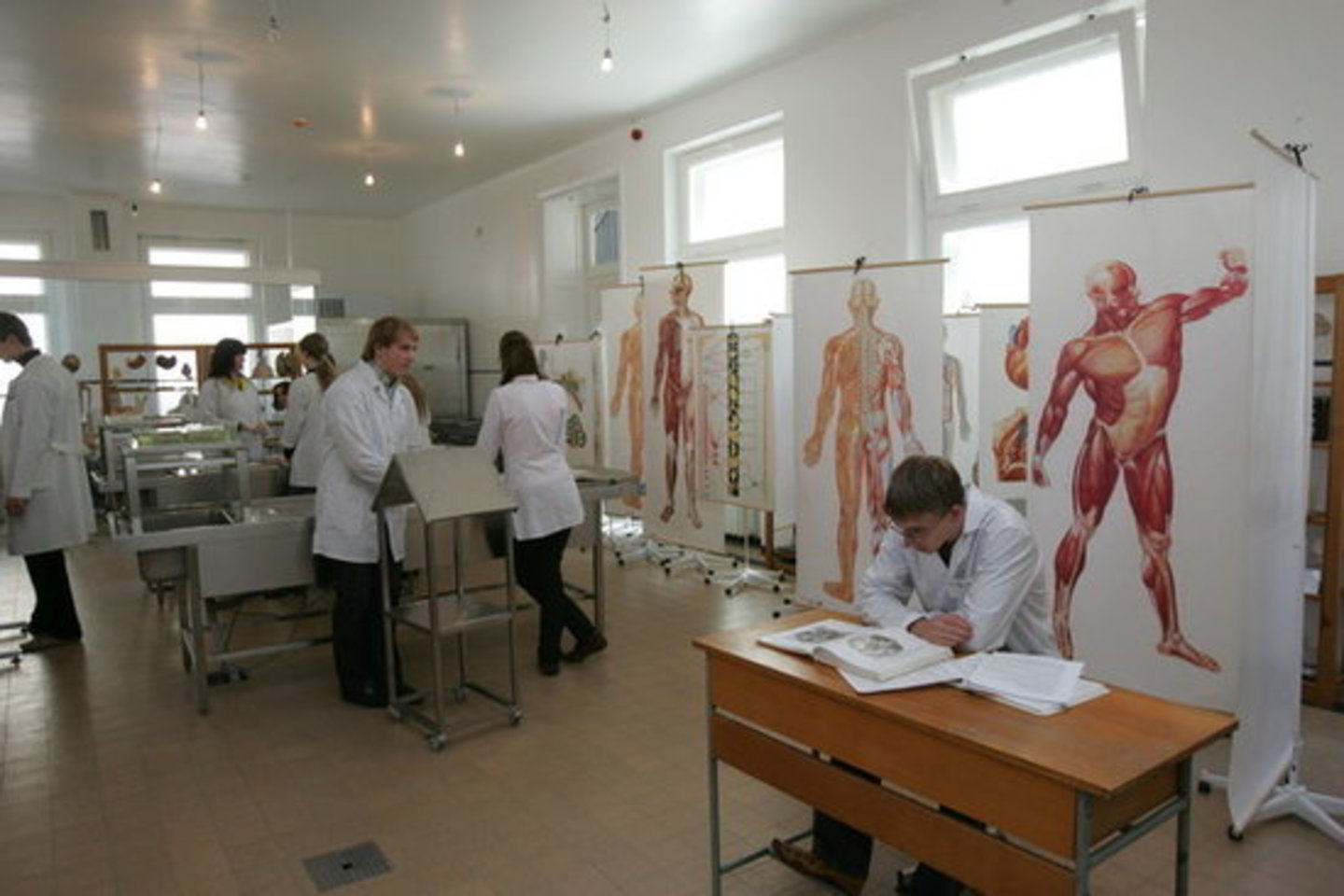 Į valstybės finansuojamas studijas Lietuvos sveikatos mokslų universitete bus priimti 254 medicinos, odontologijos ir veterinarijos rezidentai.