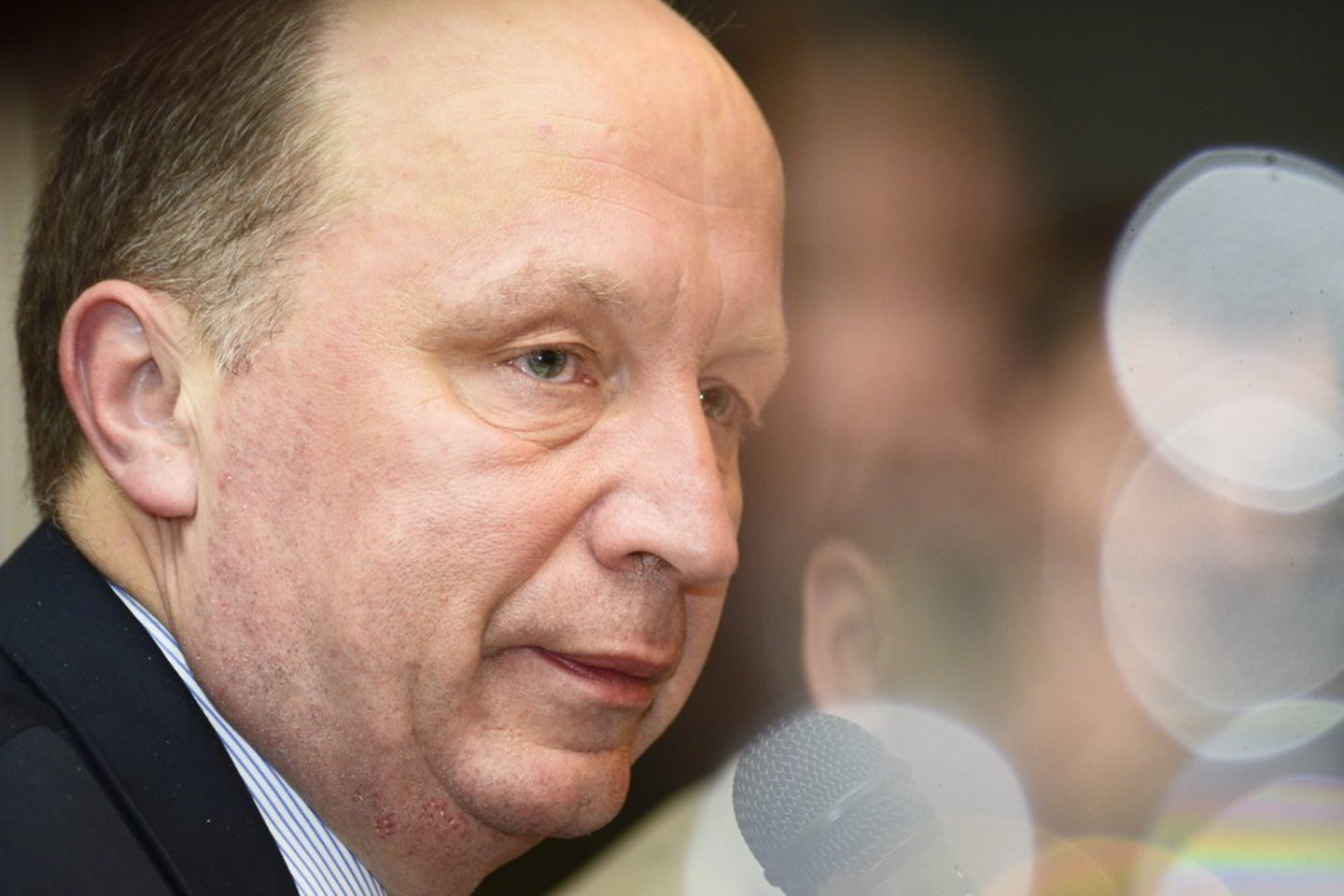 „Lietuva yra patikima šalis, vykdanti atsakingą finansų politiką“, – vokiečiams sakė A. Kubilius.