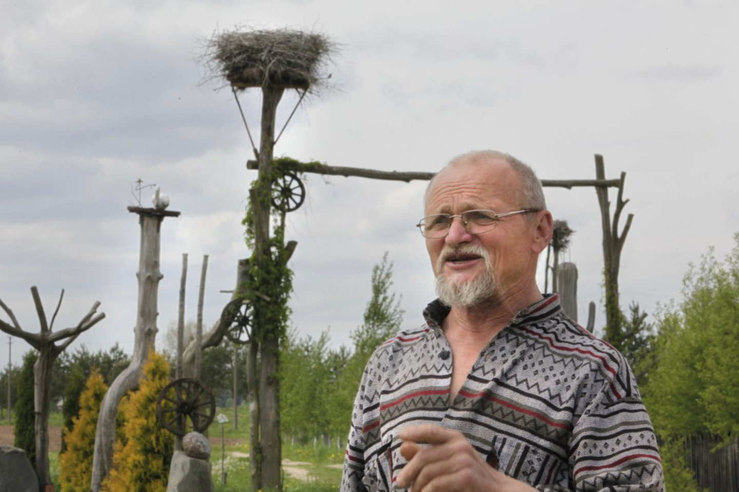 Paukščių globėjas A. Tamulynas Pilotiškių kaime jau yra nusižiūrėjęs vietą, kur iškels vienuoliktąjį gandralizdį.
