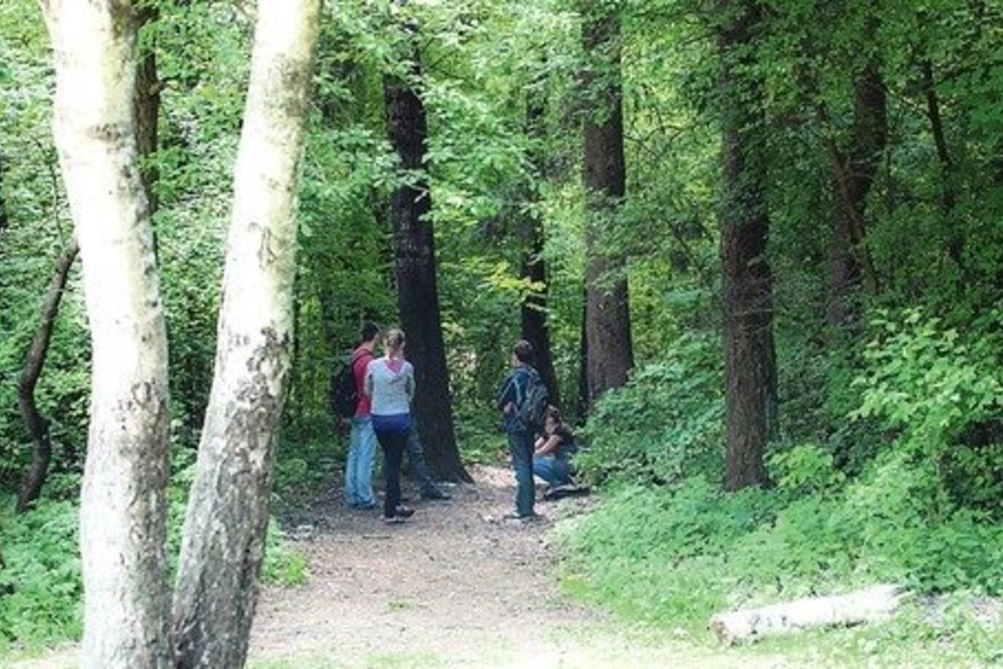 Avižienių vidurinės mokyklos moksleiviai tikino negirdėję, kad lankymasis gretimame miške jau yra apribotas.
