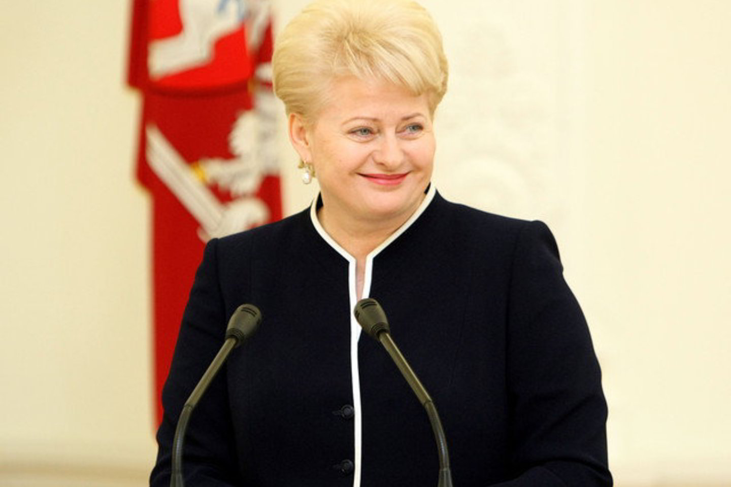 D. Grybauskaitė pabrėžė, kad Lietuva tampa transporto jungtimi tarp Rytų ir Vakarų.