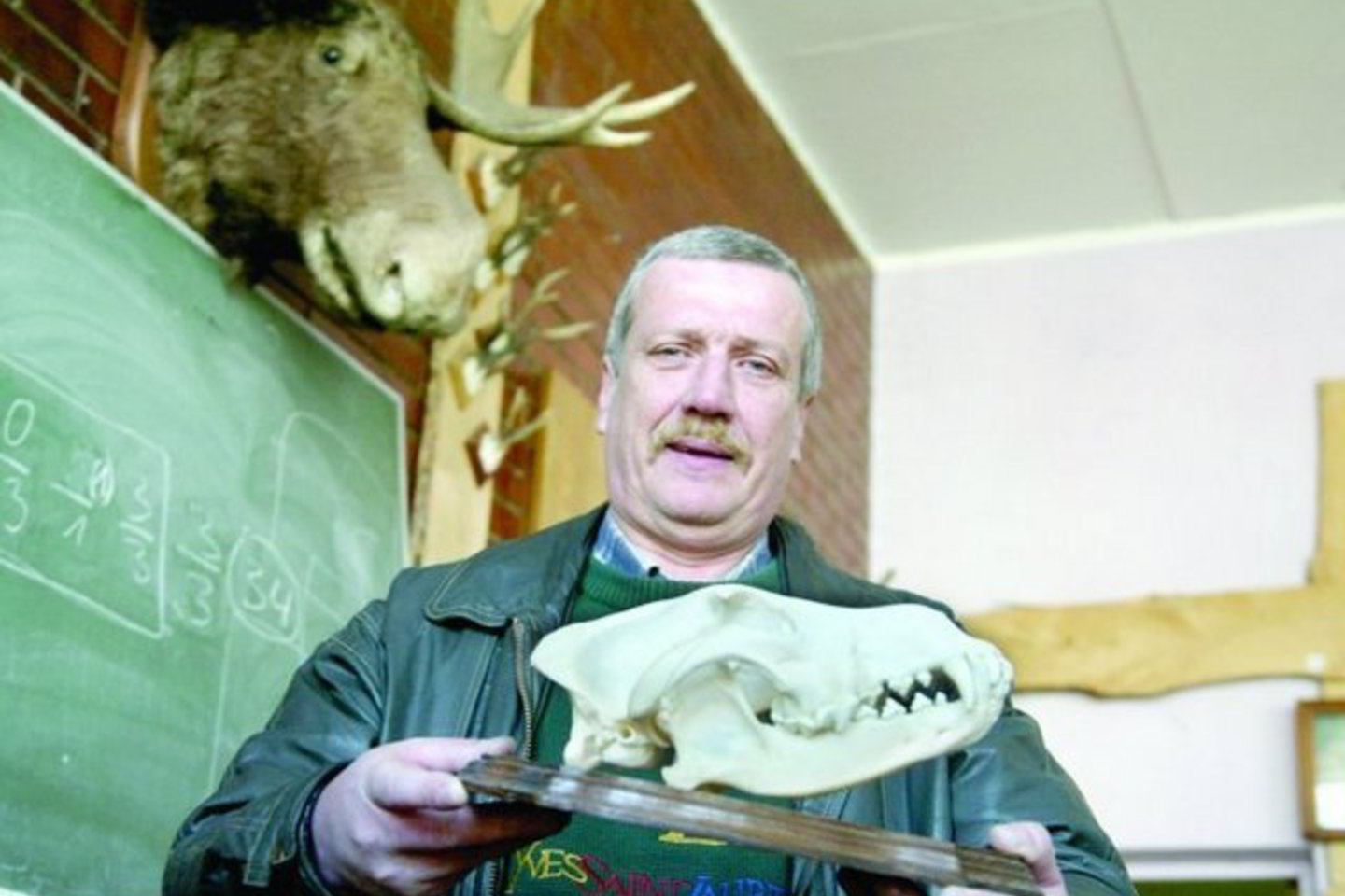 V. Jasonas - vienas iš septynių laimingųjų, mūsų šalyje per praėjusį sezoną nušovusių vilką.