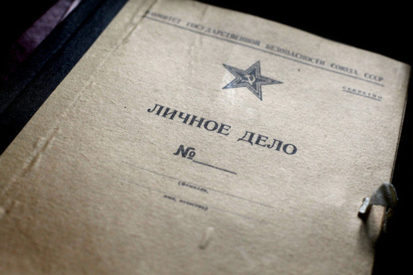 Svarstydamas šio įstatymo pataisas Seimas buvo įrašęs nuostatą, kad asmuo nebūtų laikomas nepriekaištingos reputacijos ir negalėtų eiti valstybės tarnautojo pareigų, jeigu dirbo ar tarnavo kadriniu KGB darbuotoju, priklausė KGB rezervui, slapta bendradarbiavo su sovietų specialiosiomis tarnybomis.