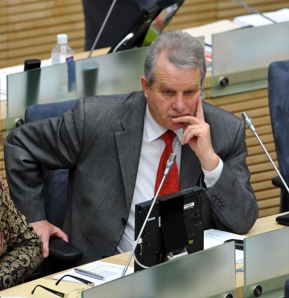 S. Giedraitis teigė, kad lietuviams yra ko pasimokyti iš kaimynų, ir ragino „gerus santykius paremti konkrečiais darbais“.