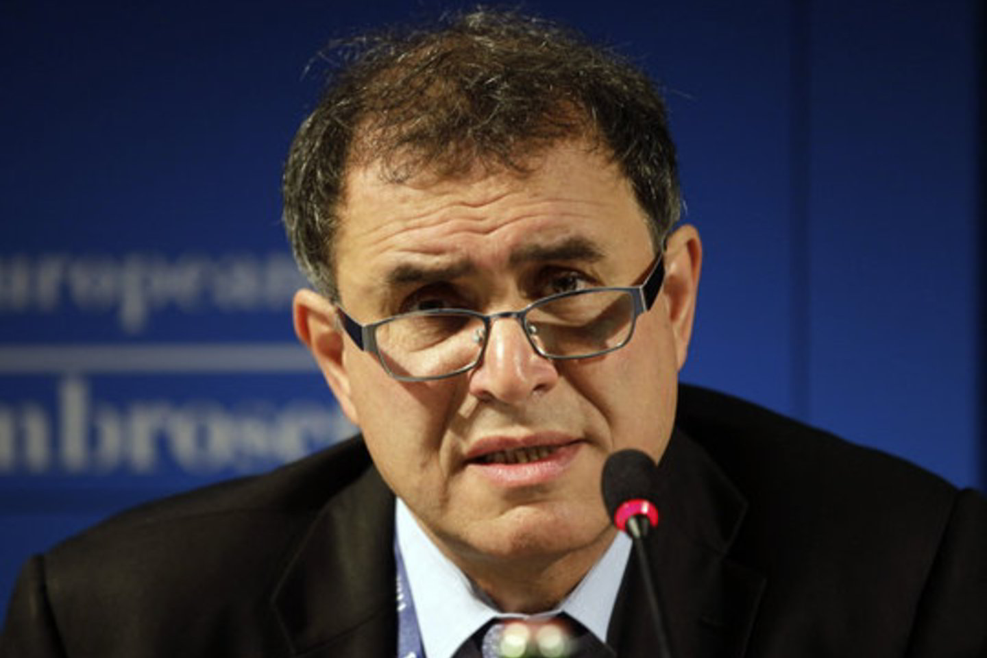 Interviu Vokietijos dienraščiui „Bild“ N. Roubini sakė, kad Vokietijos vyriausybė turėtų savo piliečiams taikyti lengvatas važiuojant atostogauti į nuo krizės nukentėjusias Pietų Europos šalis ir taip padėti joms atsigauti.