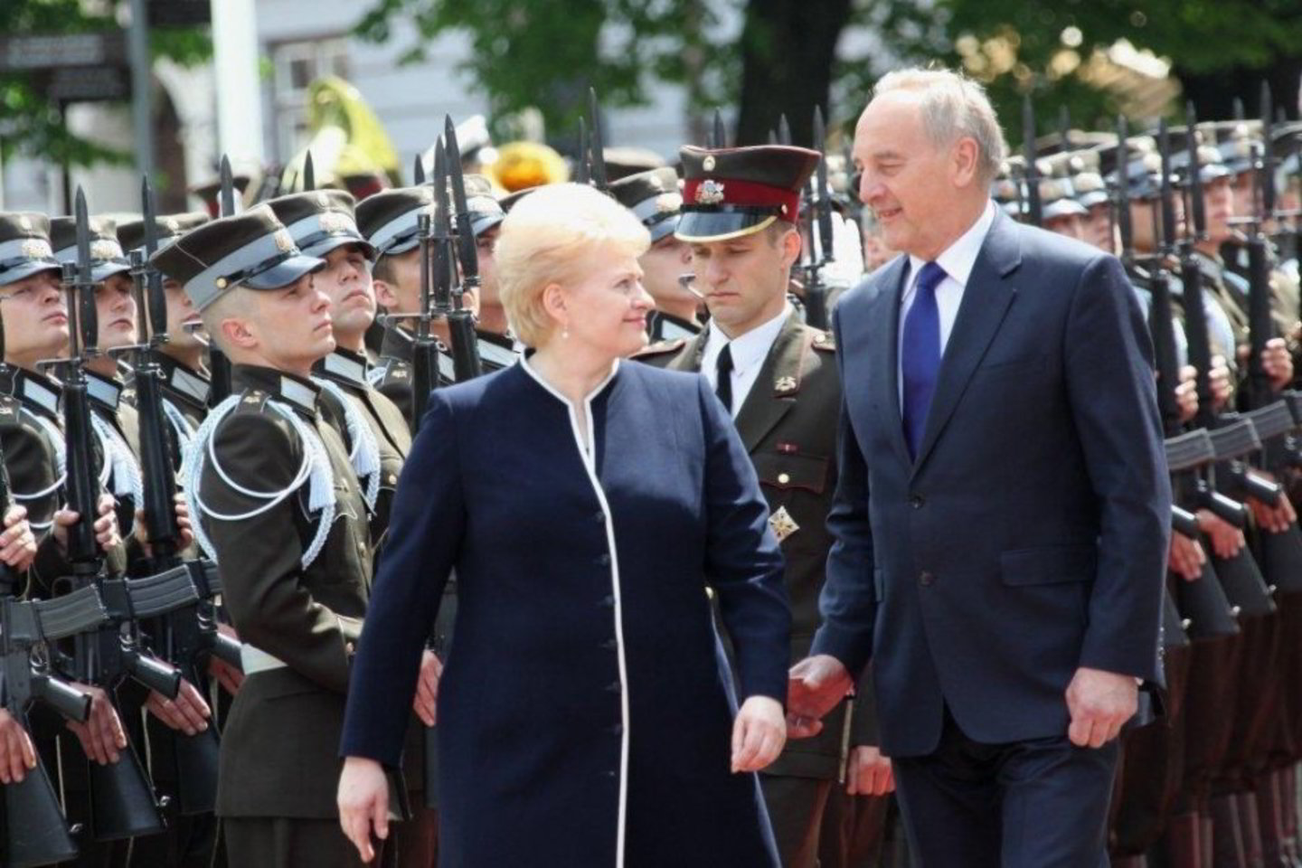 D. Grybauskaitė susitiko Latvijos prezidentu A. Berziniu.