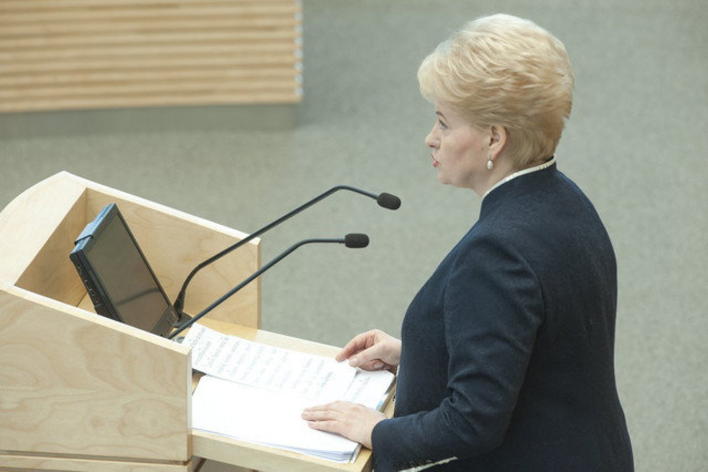 D. Grybauskaitės teigimu, finansiškai disciplinuoti privalome būti dėl pačių savęs, o ne dėl kitų, pragmatinė politika reikalinga Lietuvai, o ne kitiems.