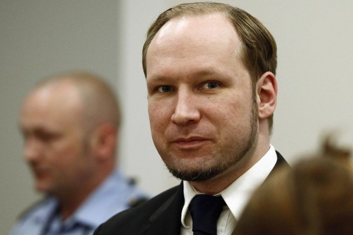 Pirmoji psichiatrų komanda nustatė, kad A. B. Breivikas serga paranoja ir šizofrenija, o vėliau paskirta kita ekspertų komanda padarė priešingas išvadas.