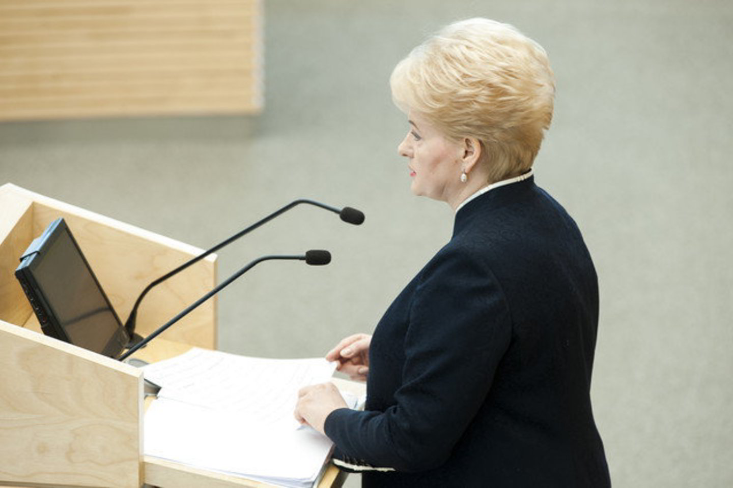 Seimas kovo pabaigoje atmetė prezidentės Dalios Grybauskaitės veto Viešųjų pirkimų įstatymo pataisoms.