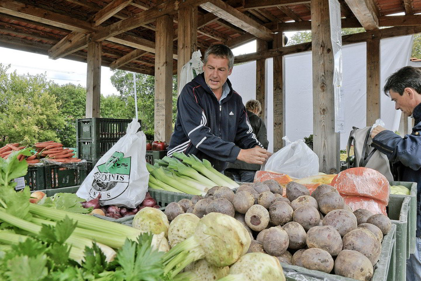 Bene daugiausia galimybių ekologiškų daržovių augintojai turi turgavietėse.
