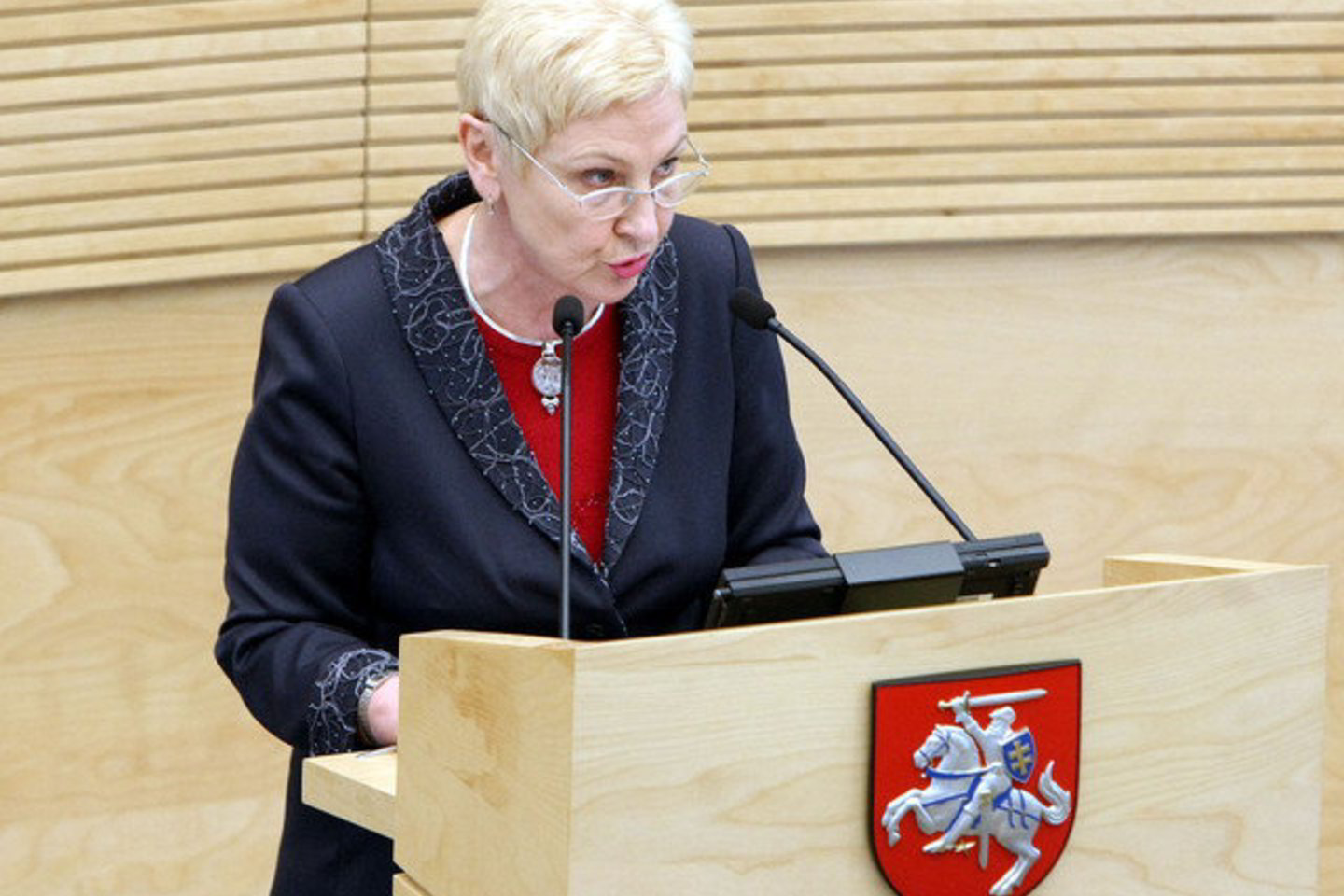 Seimo pirmininkė tikisi, kad parlamentarai išreikš palaikymą ir galutiniame balsavime.