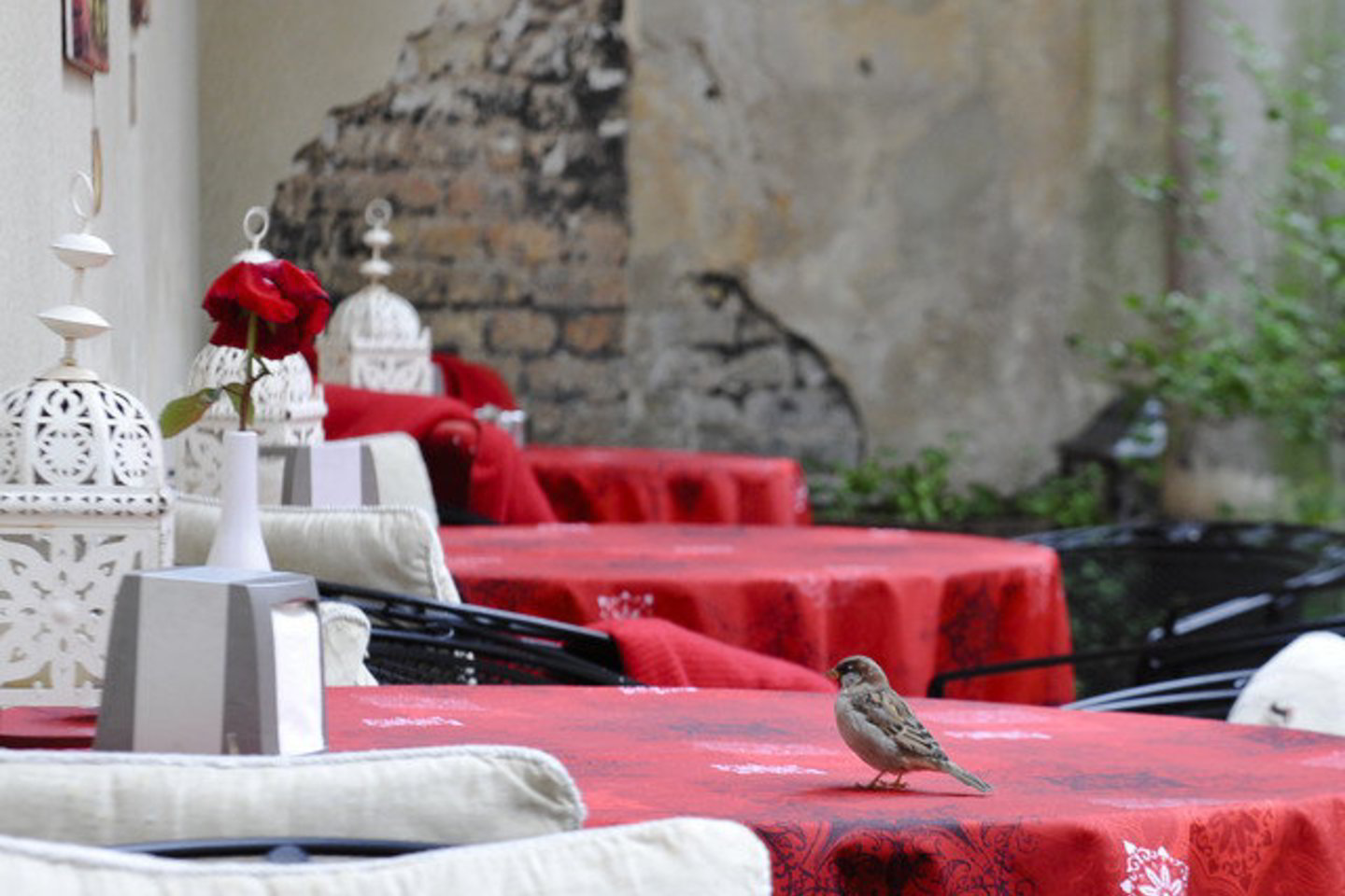 Užsienyje jau keli metai yra įprasta staliukus restoranuose rezervuoti internetu.