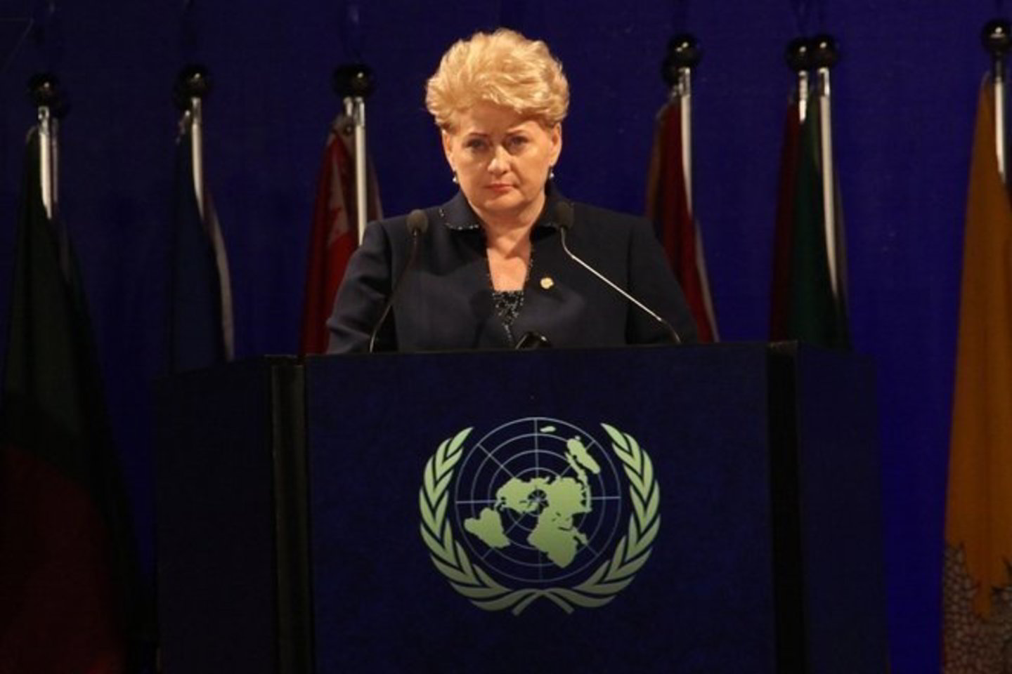 Prezidentė Dalia Grybauskaitė vieši Rio de Žaneire.